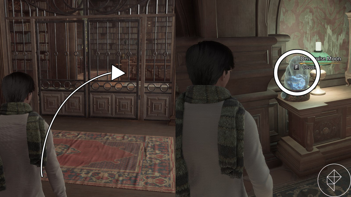 Demiguise nella sezione riservata in Hogwarts Legacy