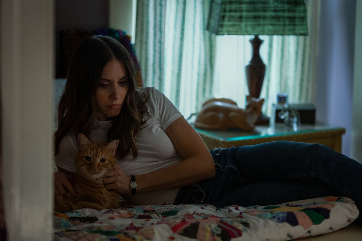 Alison Brie coccola un gatto su un letto mentre sembra pensierosa in Qualcuno che conoscevo.