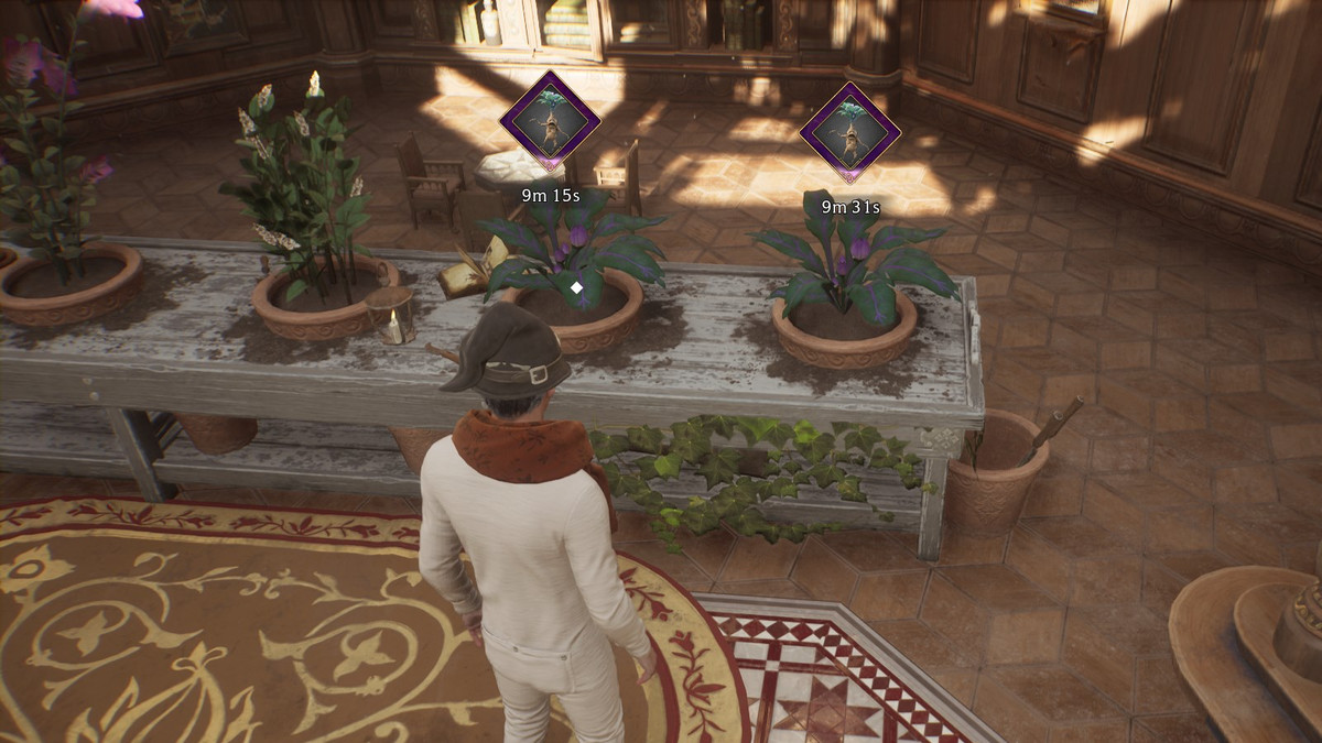 Studente in mutandoni che coltiva mandragore nella Stanza delle Necessità nell'Eredità di Hogwarts