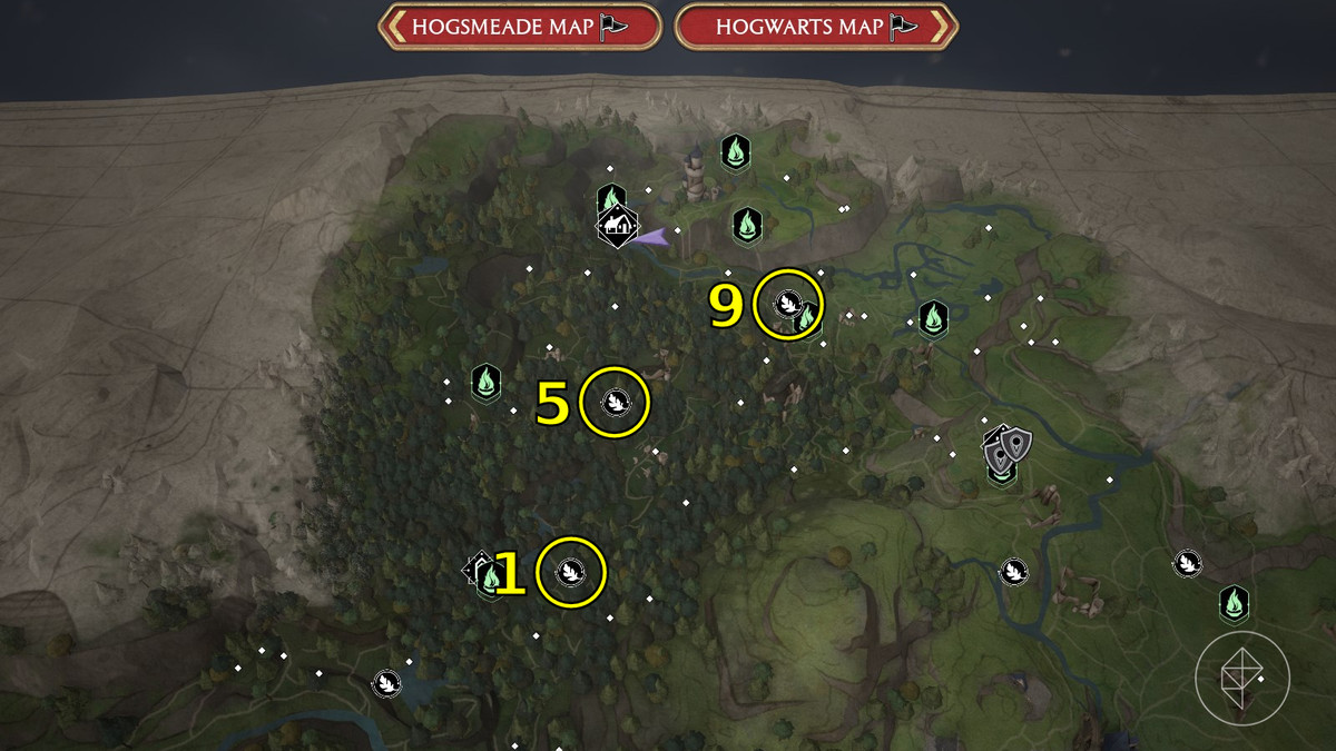 Prove di Merlino nella Foresta Proibita di Hogwarts Legacy