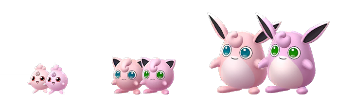 Confronti lucidi e regolari tra Igglybuff, Jigglypuff e Wigglytuff