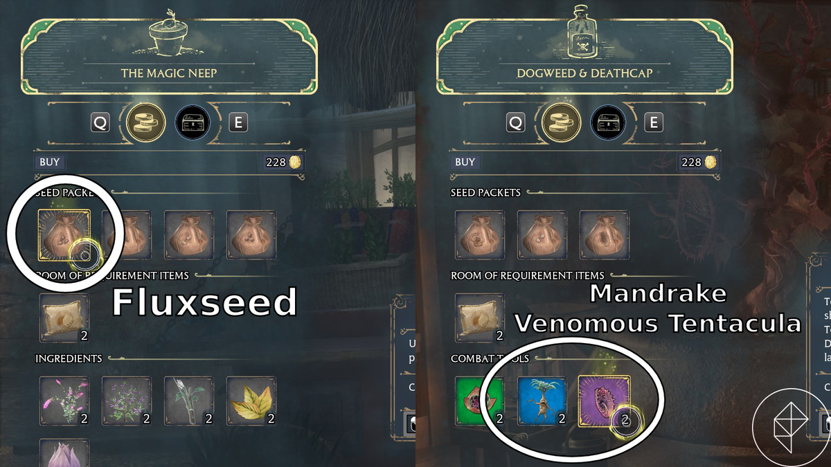Posizione di Fluxseed, Mandrake e Venomous Tentacula in Hogwarts Legacy