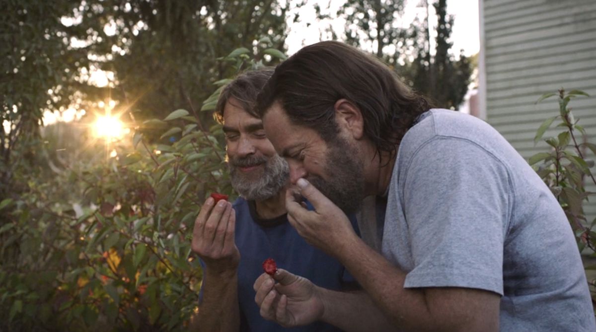 Bill (Nick Offerman) e Frank (Murray Bartlett) mangiano fragole mentre il sole tramonta in The Last of Us