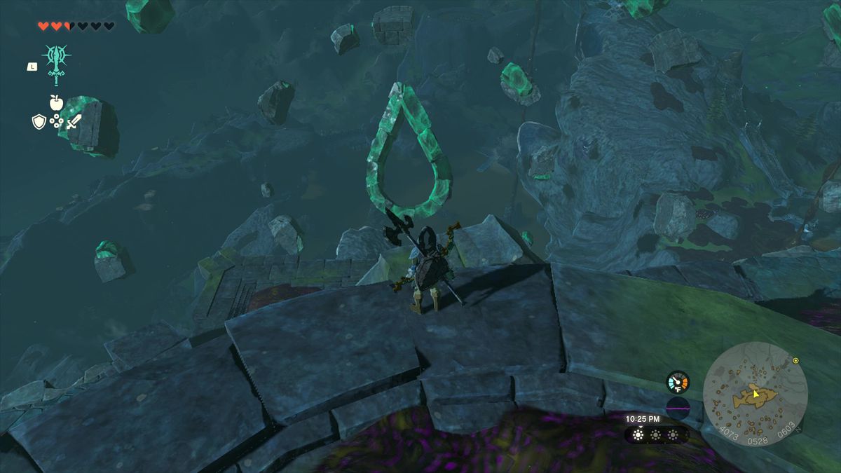 The Legend of Zelda: Tears of the Kingdom Link in piedi lungo il bordo meridionale dell'isola di Floating Scales di fronte a detriti a forma di scaglia.