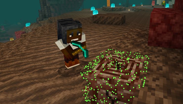 Minecraft: un giocatore estrae un nuovo bioma dei Nether