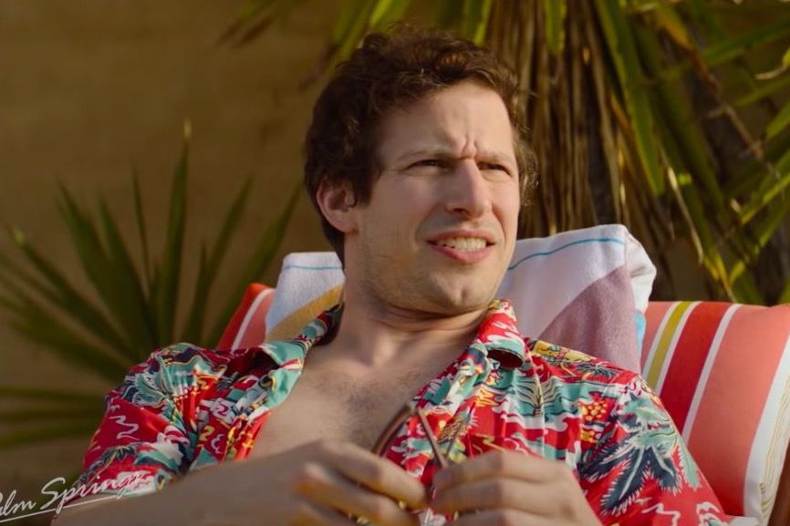 Andy Samberg indossa una camicia hawaiana a molle di palma