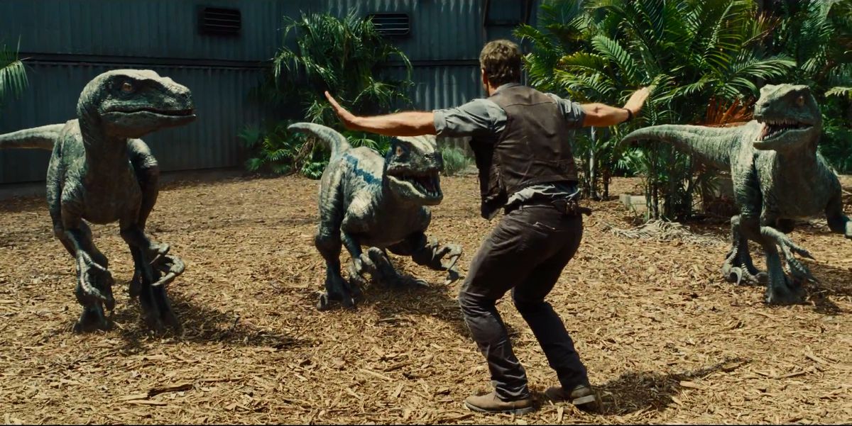 Owen Grady (Chris Pratt) affronta tre dinosauri in Jurassic World
