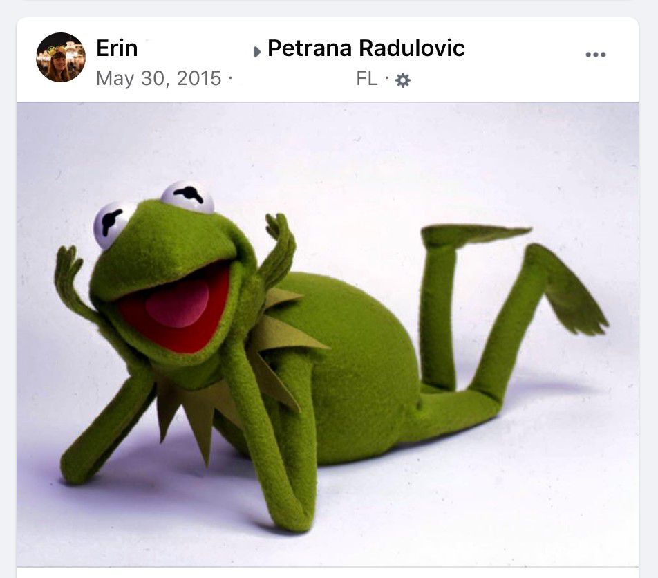 una screencap di un post sulla bacheca di Facebook contenente Kermit e solo Kermit 