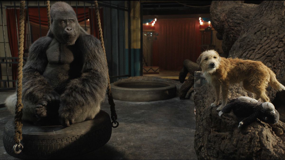Ivan il gorilla e Bob il cane scrapposo 