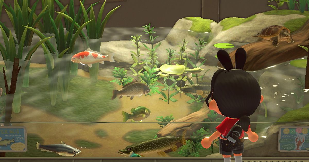 Questi sono i nuovi pesci e insetti per agosto in Animal Crossing: New Horizons