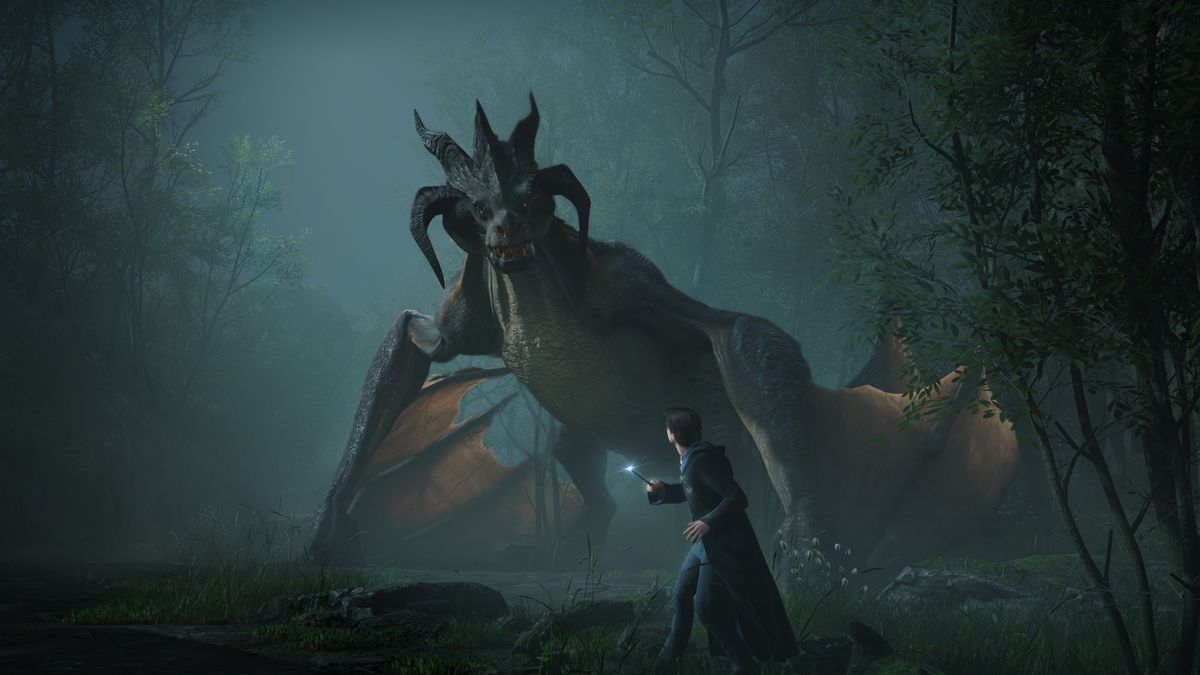 uno studente di Hogwarts con in mano una bacchetta guarda un drago nella foresta di notte in Hogwarts Legacy