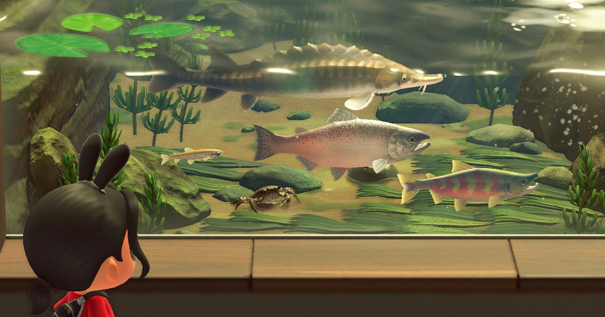Animal Crossing: New Horizons nuovi pesci e insetti da catturare a settembre