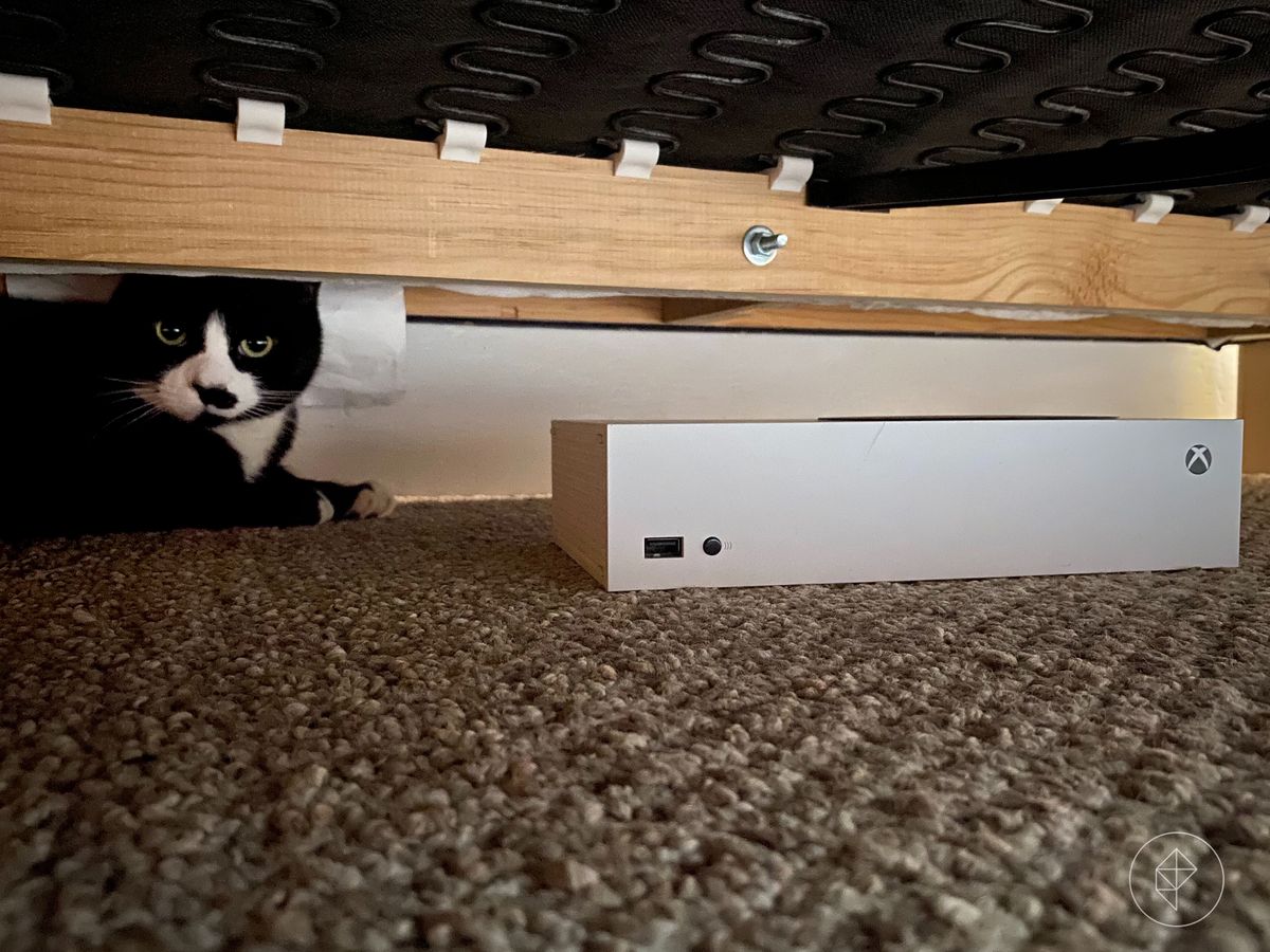 Foto di una console Xbox-S sotto un letto accanto a un gatto bianco e nero