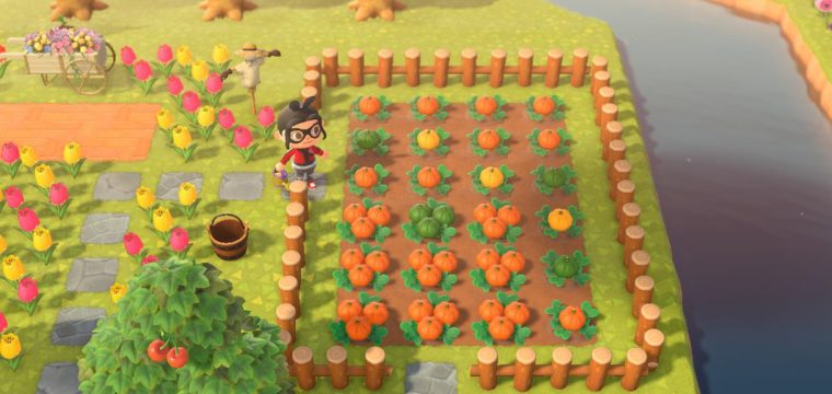 Come coltivare le zucche in Animal Crossing: New Horizons