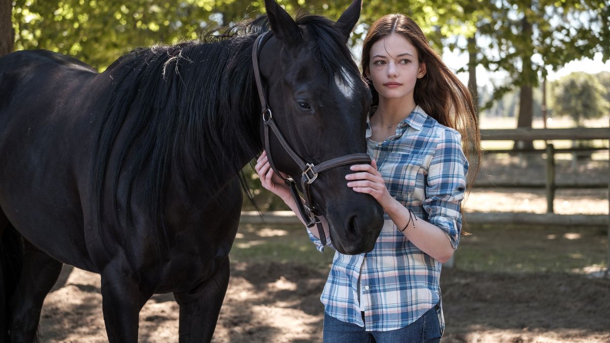 una ragazza e un cavallo 
