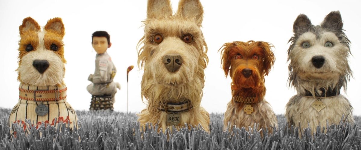 Isle of Dogs: quattro cani guardano dritto nella telecamera