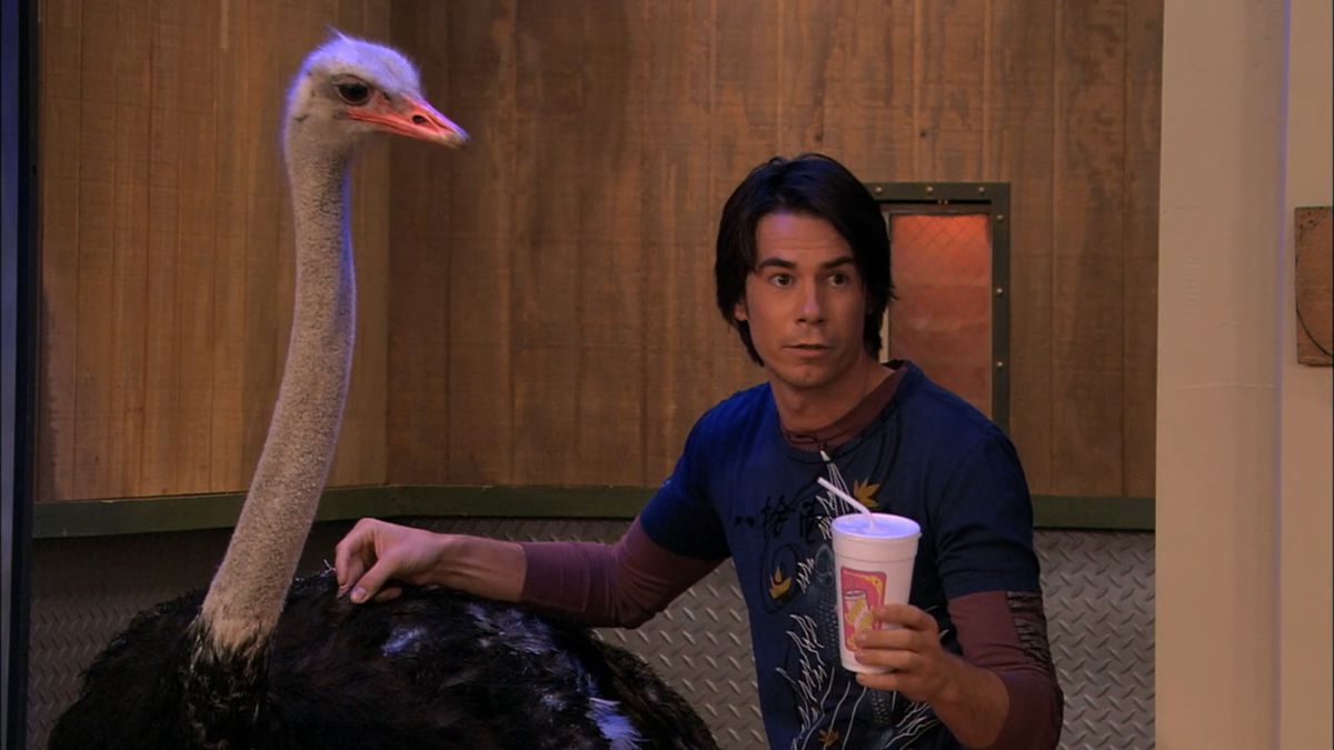 spencer and an ostrich as seen in a popular meme