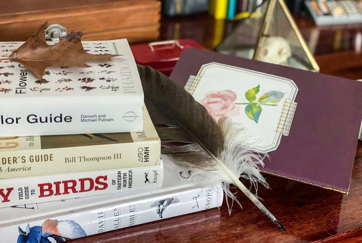 una pila di libri sulla natura, con una foglia, un diario e una piuma