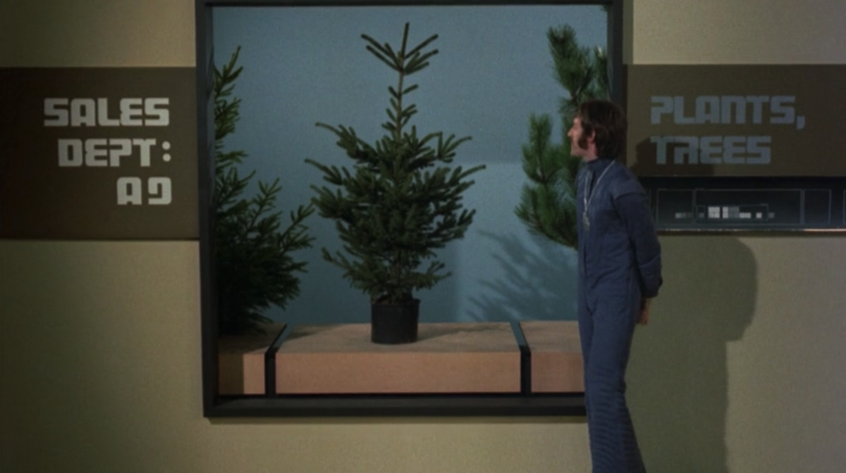 A man in a navy-blue jumpsuit looks at a stubby pine tree in a 20th-century museum in ZPG