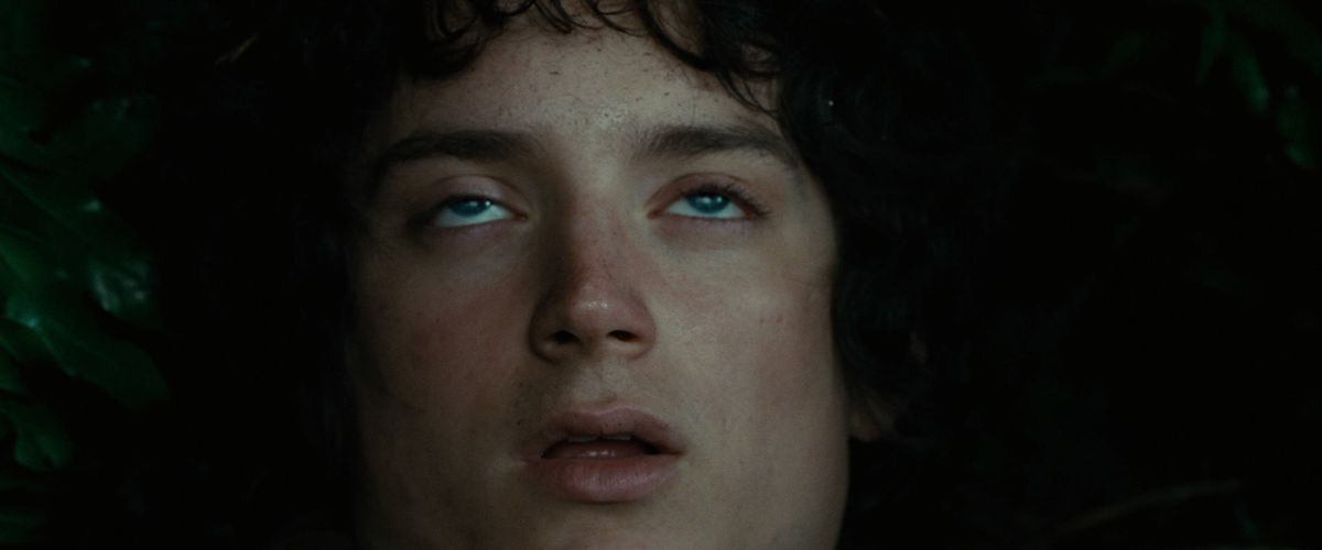 La bocca di Frodo si spalanca lentamente mentre i suoi occhi rotolano all'indietro in La Compagnia dell'Anello. 