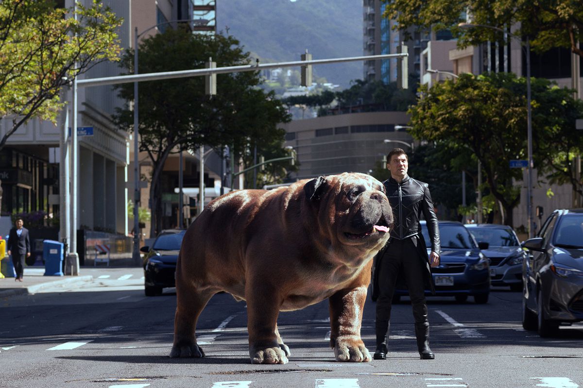 Black Bolt (Anson Mount) e Lockjaw, un bulldog delle dimensioni di un rinoceronte, si trovano nel mezzo di una trafficata strada cittadina in Inhumans.