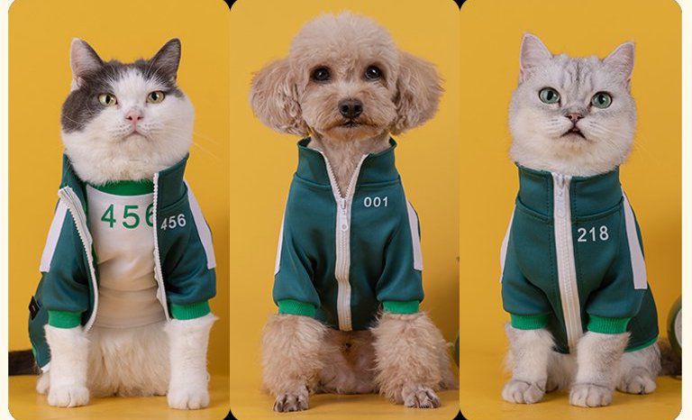 Due gatti e un cane in tuta verde Squid Game da un elenco online defunto