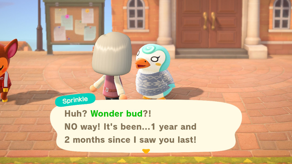 Sprinkle, un pinguino, dice al giocatore: “Eh?  Meraviglia gemma?!  Non c'è modo!  Sono passati... 1 anno e 2 mesi dall'ultima volta che ti ho visto!”