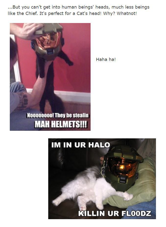 Meme di Halo 3 cat helmet realizzati dai blogger di Nerds Trozobudos