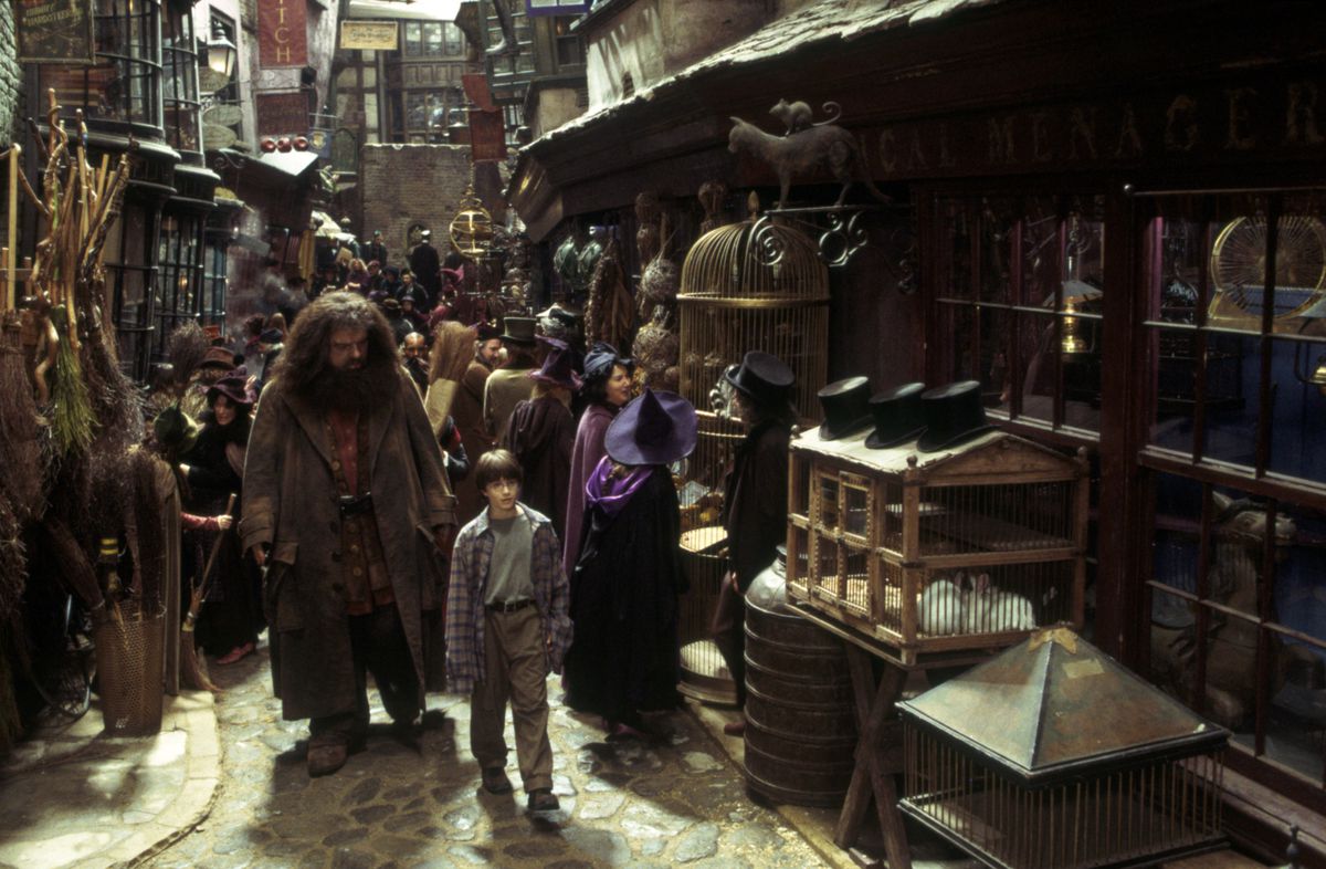 Harry e Hagrid a Diagon Alley