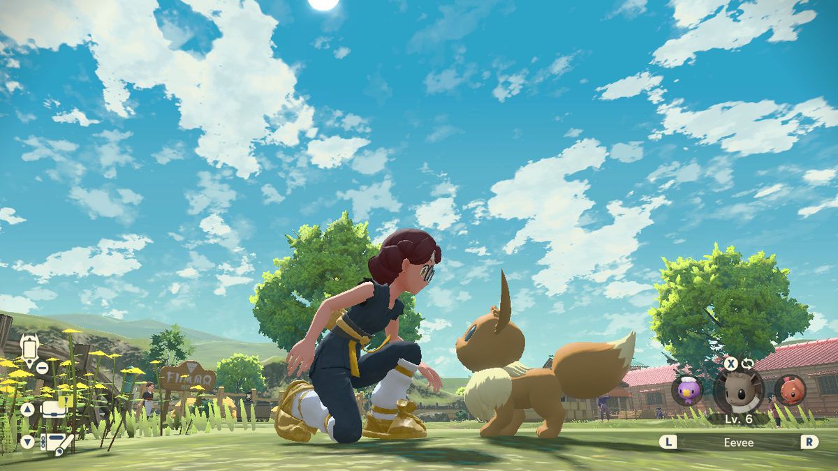 un allenatore di pokemon si accovaccia accanto al suo eevee in una giornata di sole.