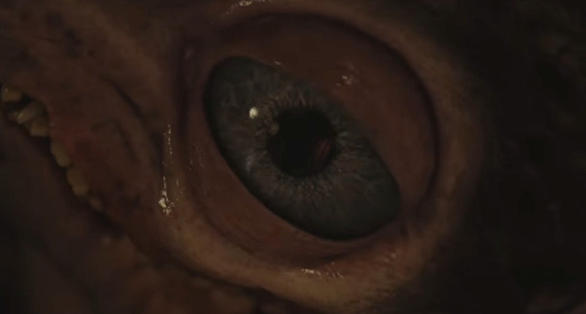 Un primo piano dell'occhio del burattino Alli, dal trailer di Hatching