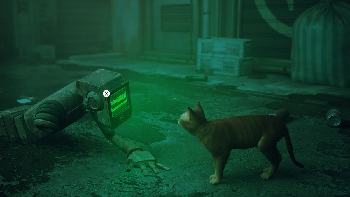 il gatto protagonista di Stray ispeziona un robot che striscia verso il gatto in un vicolo