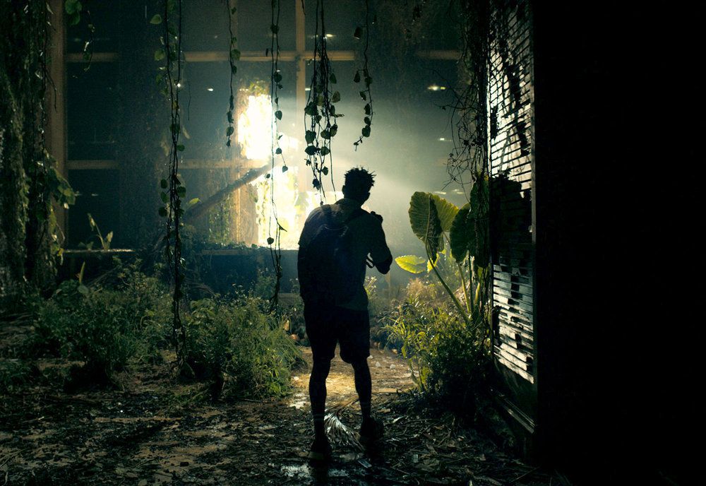 William Jackson Harper nei panni di Noah in piedi in una stanza d'albergo abbandonata e ricoperta di vegetazione, in controluce, in The Resort