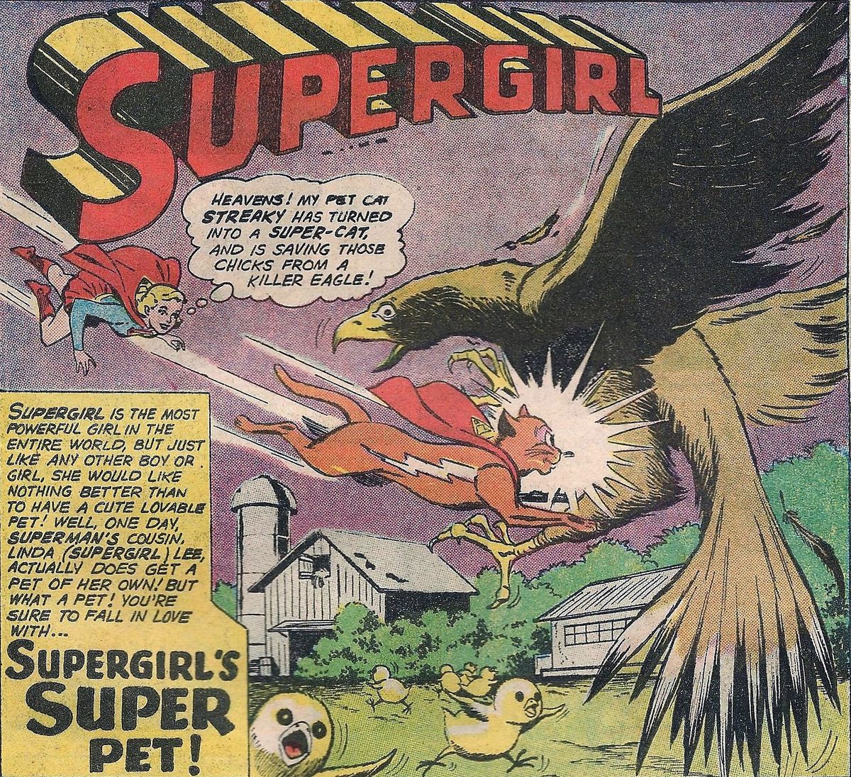 Streaky il Supercat si precipita a combattere un'aquila, che stava tentando di afferrare alcuni pulcini.  Supergirl guarda