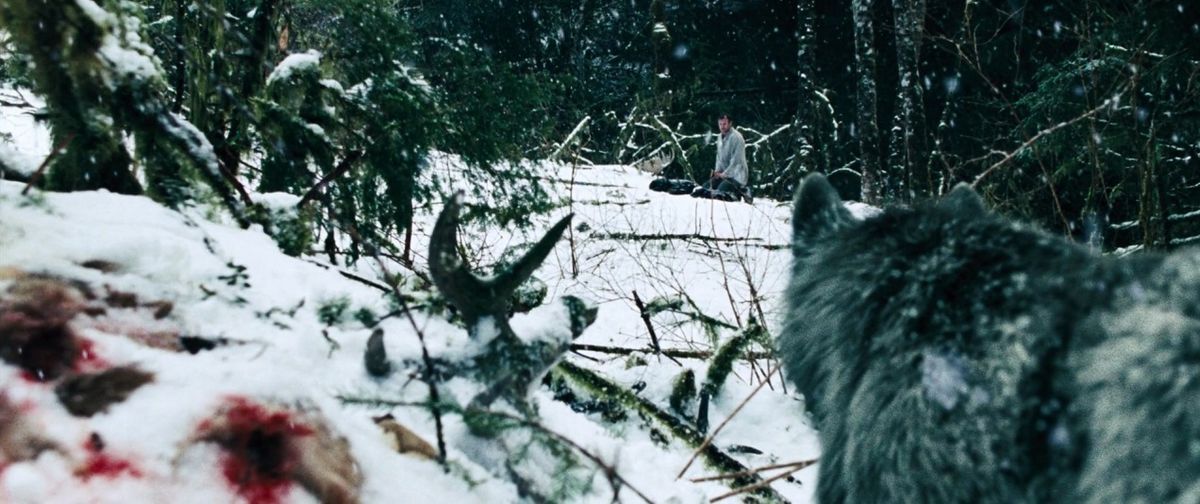 Un lupo insegue Liam Neeson nella neve in The Grey