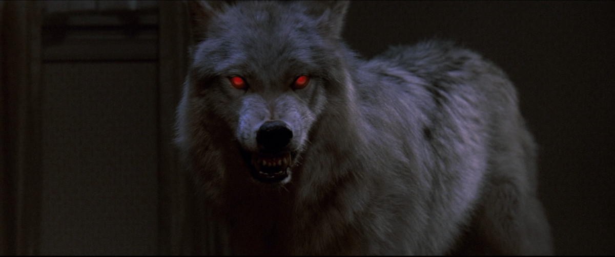 Un lupo con gli occhi rossi ringhia in Fright Night