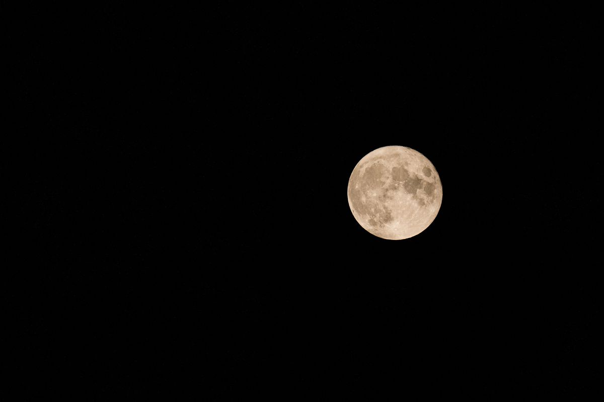 Una foto della luna. 