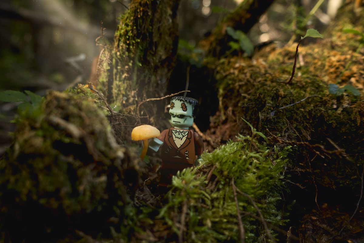 Una versione Lego del mostro di Frankenstein si trova nel bosco mentre un raggio di luce illumina un fungo nella sua mano