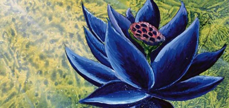La carta Magic: The Gathering Black Lotus viene venduta per la cifra record di $ 540.000