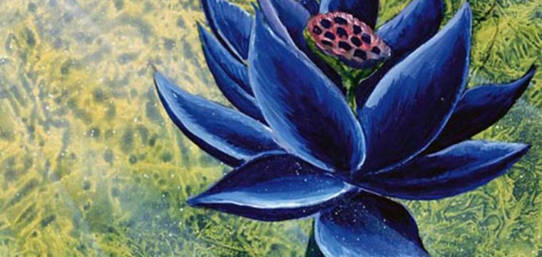 Rare Magic: The Gathering Black Lotus all’asta, l’ultimo venduto per oltre $ 500.000