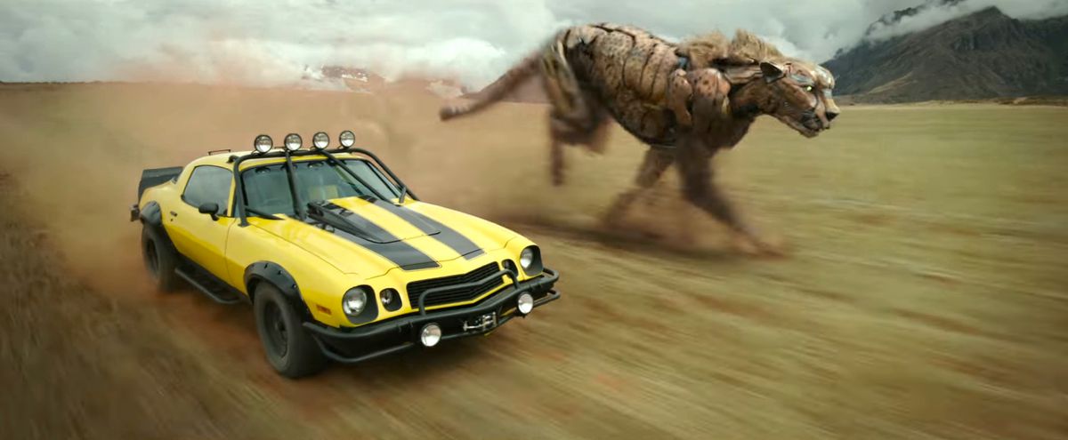 Bumblebee in forma di auto fuoristrada e Cheetor che sembra un po' un ghepardo robot si sfidano in un campo aperto in Transformers: Rise of the Beasts