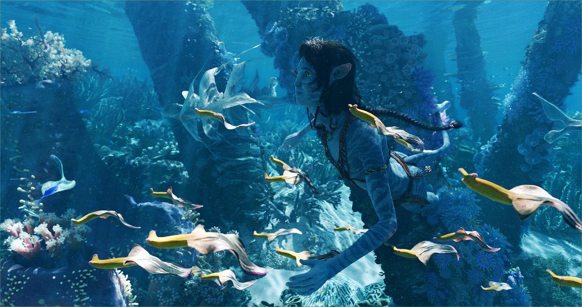 Kiri nuota attraverso il corallo e un branco di pesci a buccia di banana in Avatar: The Way of Water