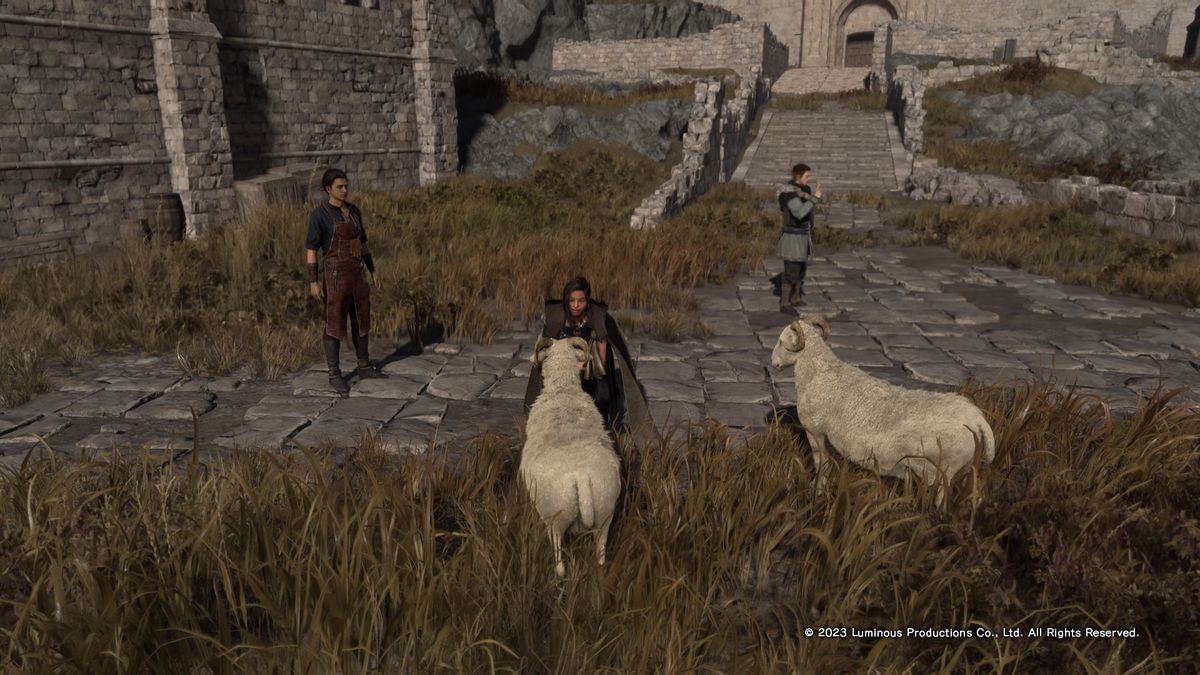 Un'immagine di Frey inginocchiato per nutrire una pecora in Forspoken.  Il mondo sembra un po' triste: l'erba sembra un po' secca e morta, ma le pecore sono carine! 