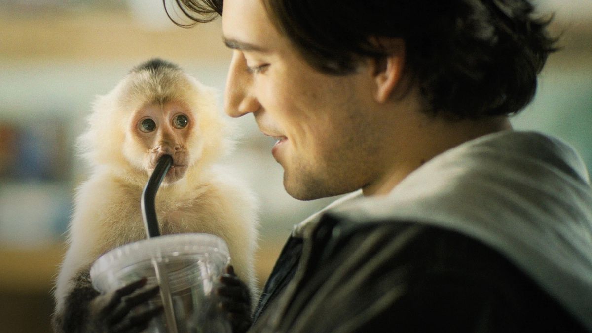 Un uomo (Charlie Rowe) sorride mentre una scimmia bianca lo guarda mentre beve dalla cannuccia del suo drink.