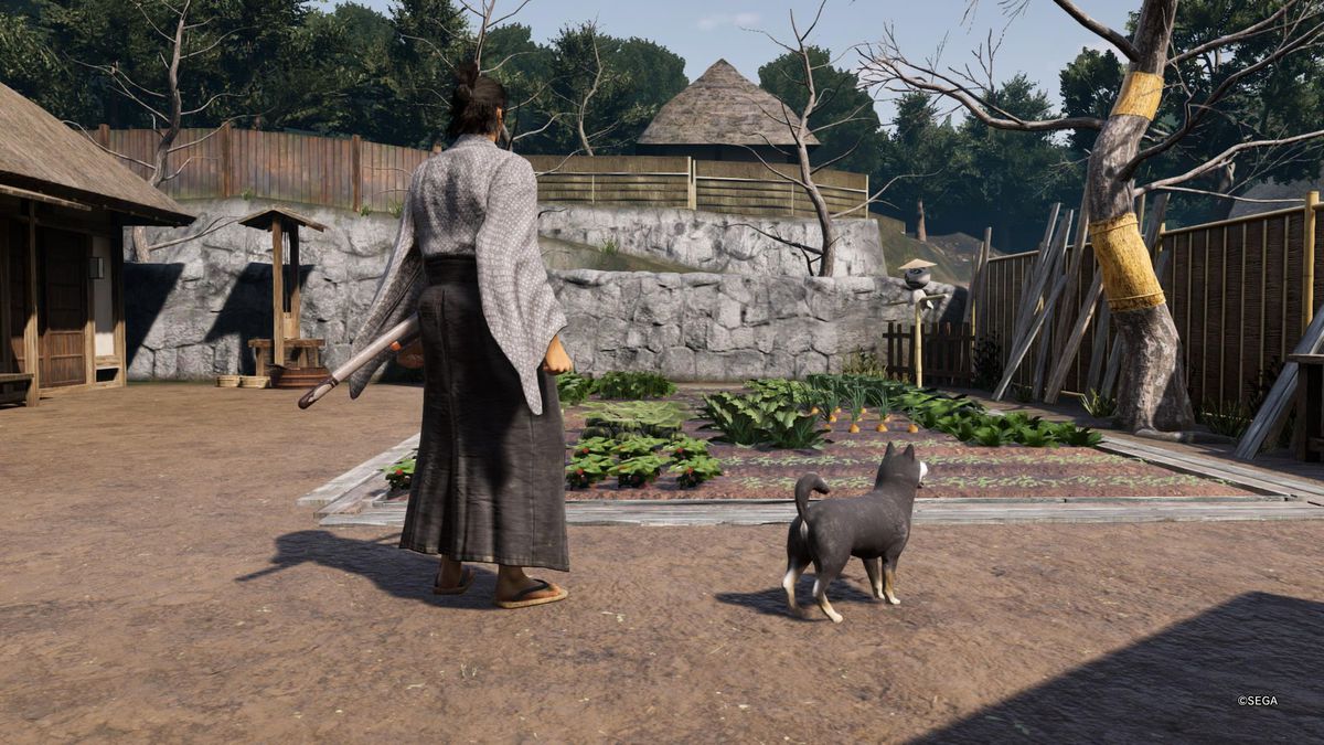 Ryoma si trova accanto a un cane di fronte a un giardino in Un'altra vita in Like a Dragon: Ishin