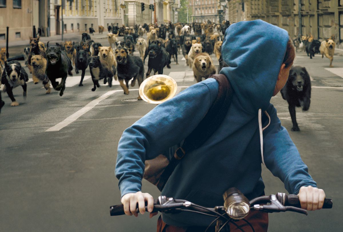 Una ragazza (Zsófia Psotta) con una felpa con cappuccio blu in sella a una bicicletta con una tromba di ottone nello zaino guarda indietro a una massa di cani che corrono lungo una strada deserta.
