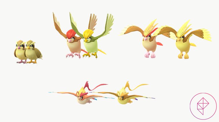 Shiny Pidgey, Pidgeotto, Pidgeot e Mega Pidgeot con le loro forme regolari in Pokemon Go.  Ogni lucido assume una sfumatura dorata.