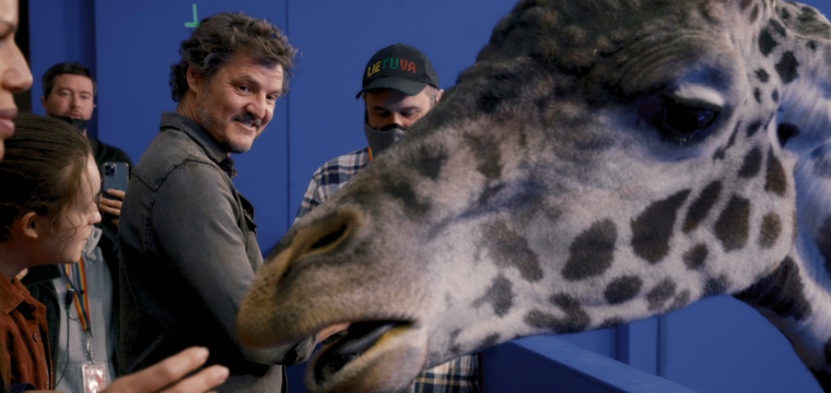 La giraffa era CGI in The Last of Us?  Sì e no…