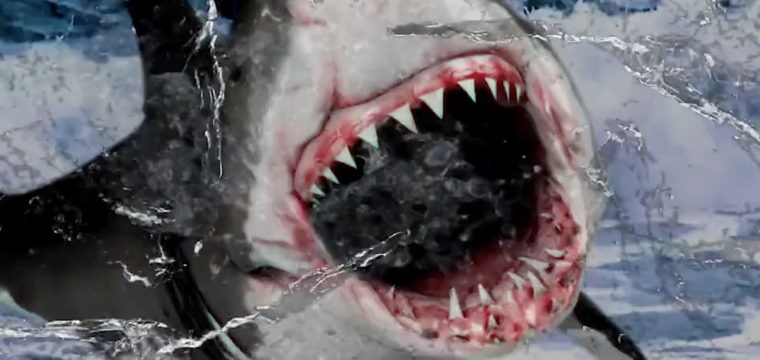 Il regista di The Room, Tommy Wiseau, ha realizzato un nuovo film sugli squali, o forse… annuncio di biancheria intima?