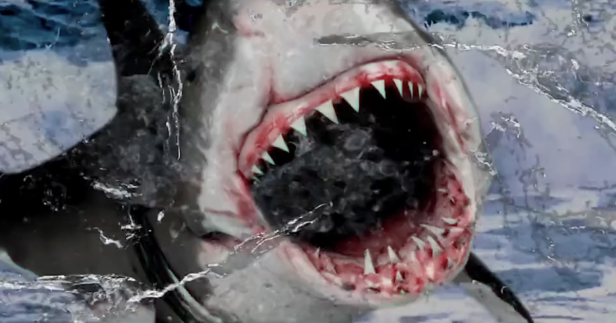 Un primo piano della bocca aperta di un grande squalo bianco CG che si lancia fuori dall'acqua, in uno scatto dal trailer di Big Shark di Tommy Wiseau